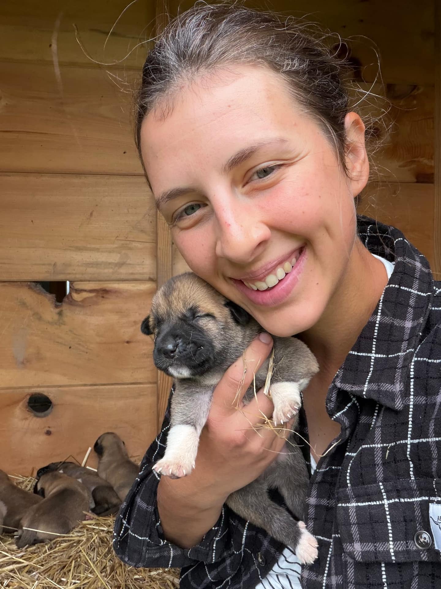 Kangal x Great Pyrenees guardian puppy being held at the farm in Newport, Tennessee